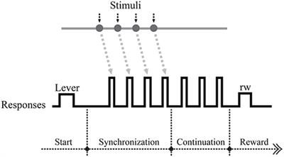 A Temporal Signal-Processing Circuit Based on Spiking Neuron and Synaptic Learning